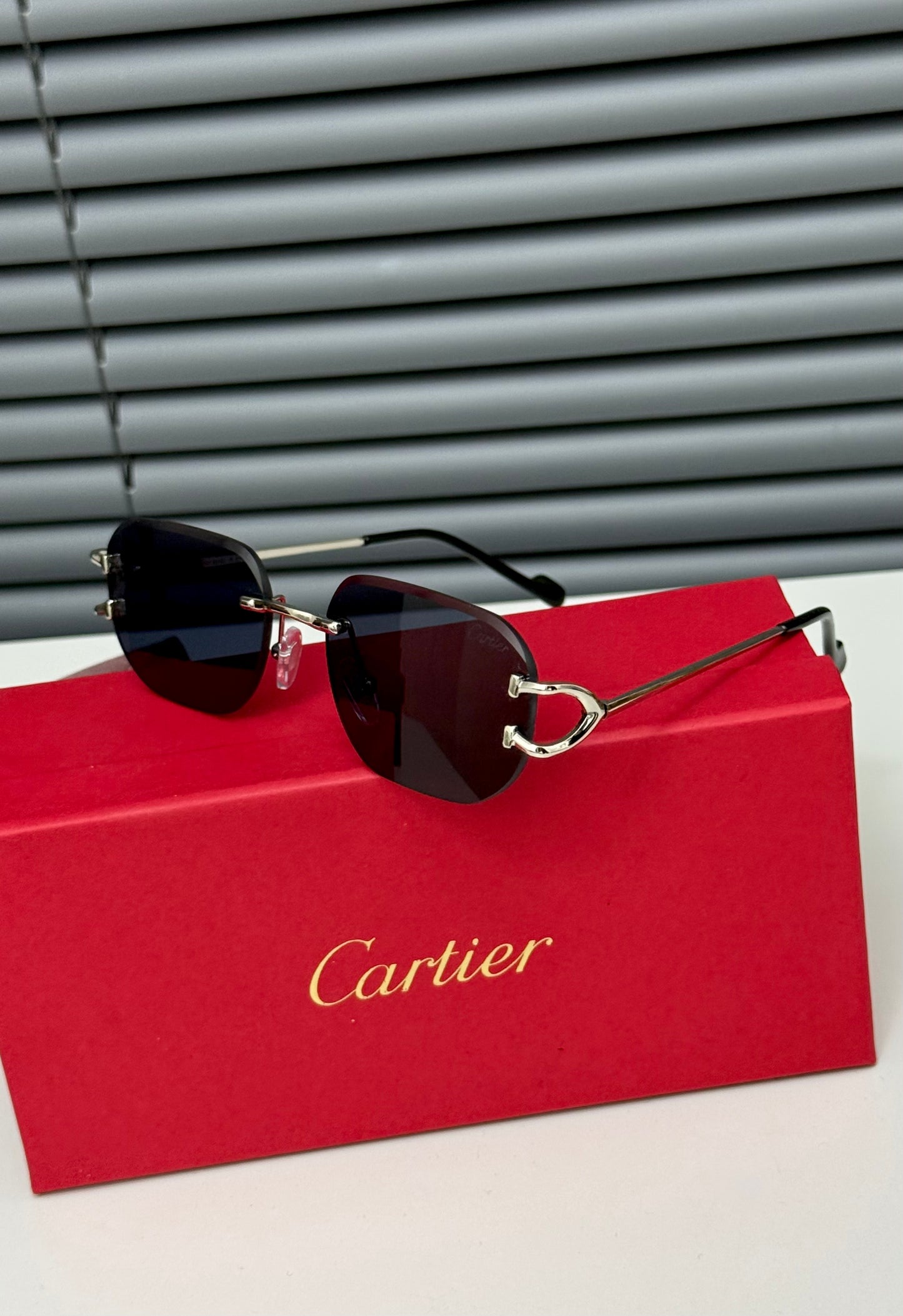 CARTİER S-01 PREMİUM GÖZLÜK